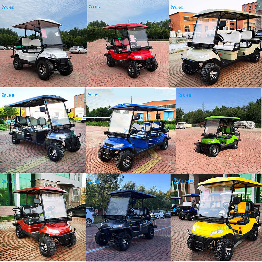Other Style Golf Cart 3