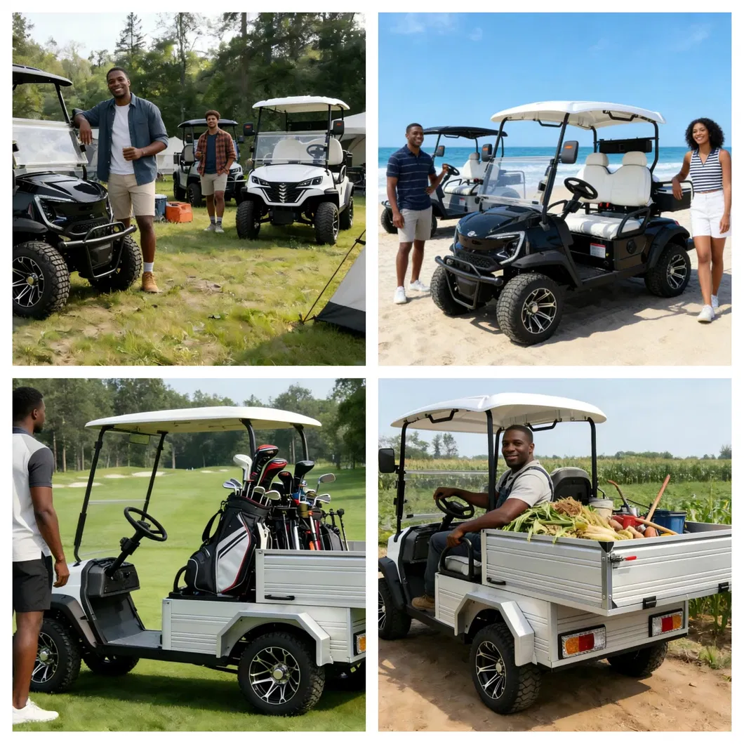 High-Performance Electric Carts with 7 5kw Motor and Custom Options