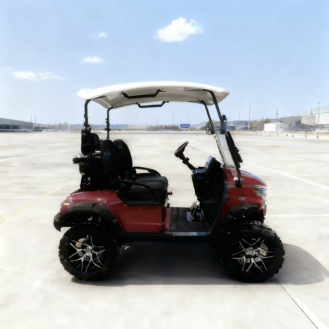 2 Seater Mini Electric Mobility Scooter Golf Cart for Sale