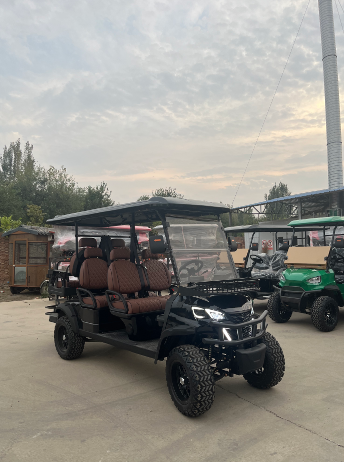 Mini Luxury Cheap 4 Passenger 6 Seater 8 Seats Antique Electric Classic Golf Cart for Wedding Resort Hotel