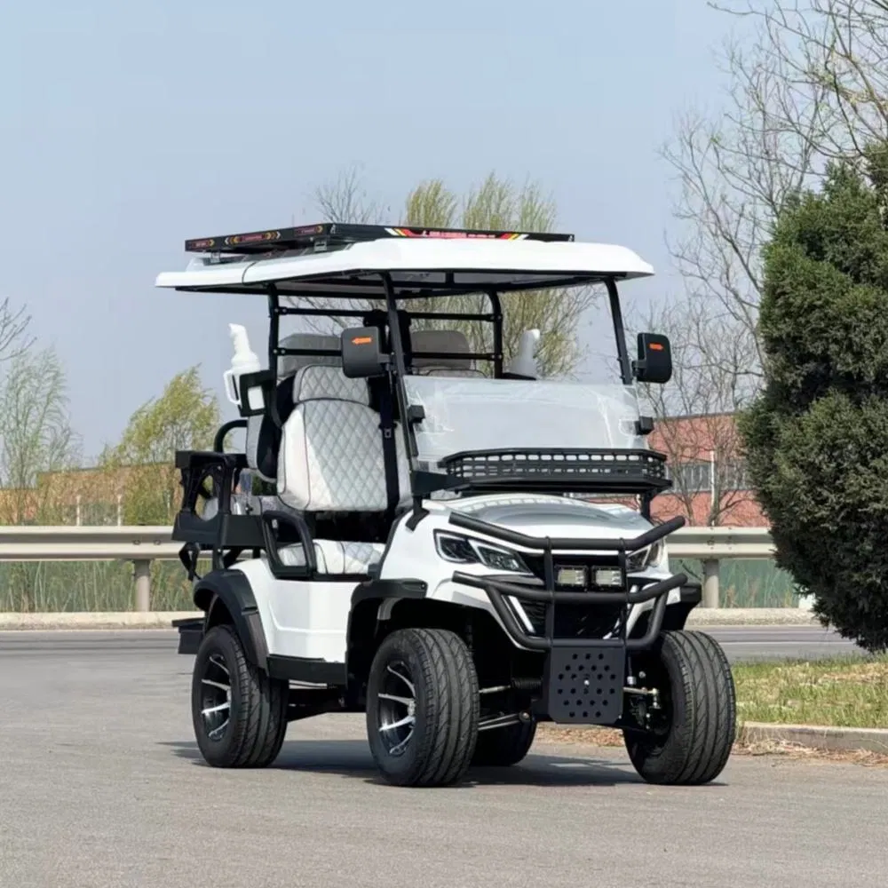 Enclosed Golf Cart Weatherproof Cabin Golf Buggy with Heater &amp; Windshield for Cold Climates