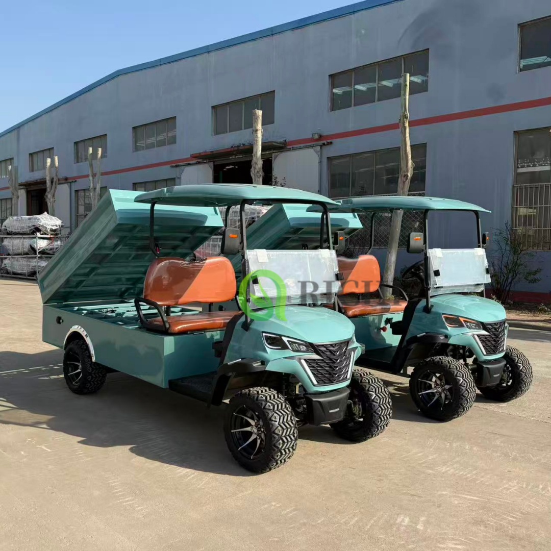 Heavy Duty Electric Golf Cart with Dump Bed 2 Seat Utility Vehicle Golf Cart Tires for Farm and Construction Work