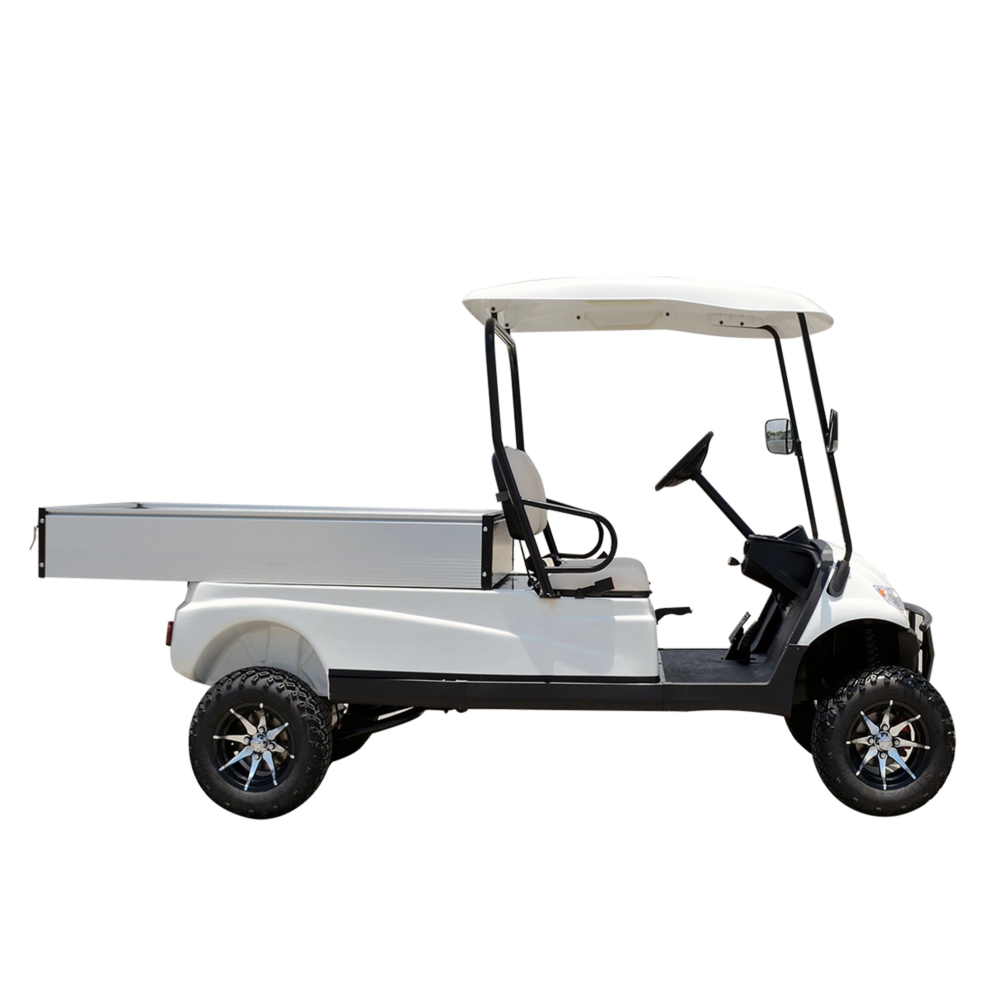 Electric Powered Utility Golf Cart 2 Passenger with Rear Cargo Bed