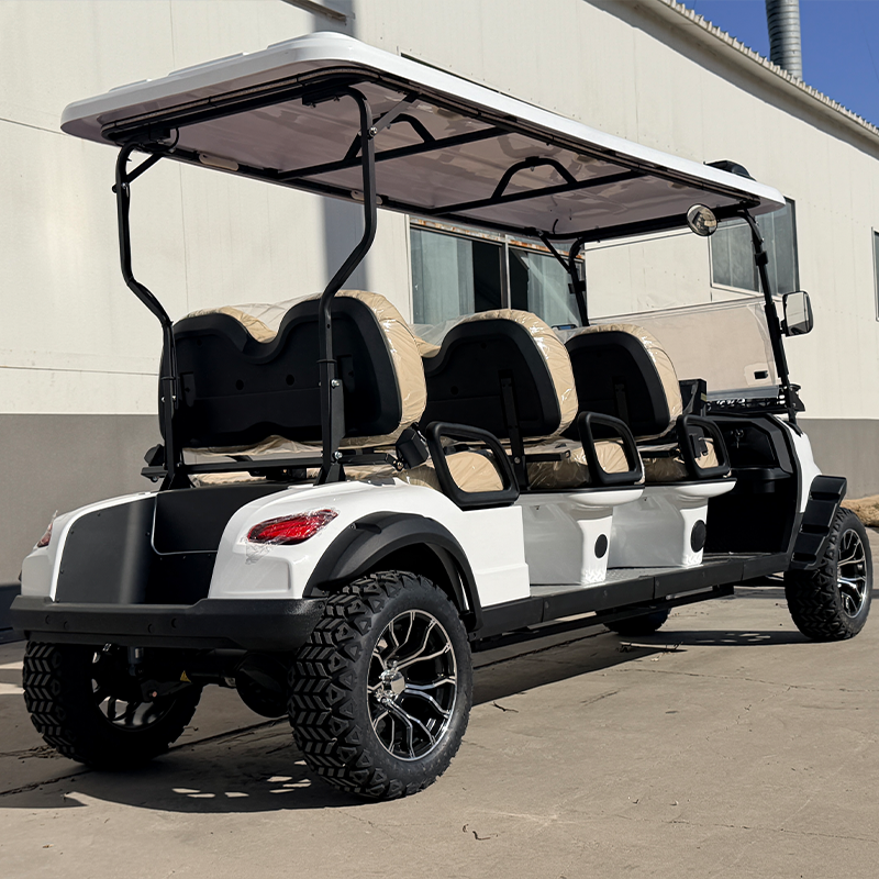Luxury 2025 Sdlanch Sdlgc100 6 Passenger Golf Cart Classic Car Golf Cart Street-Legal Electric Vehicle for Community Transport