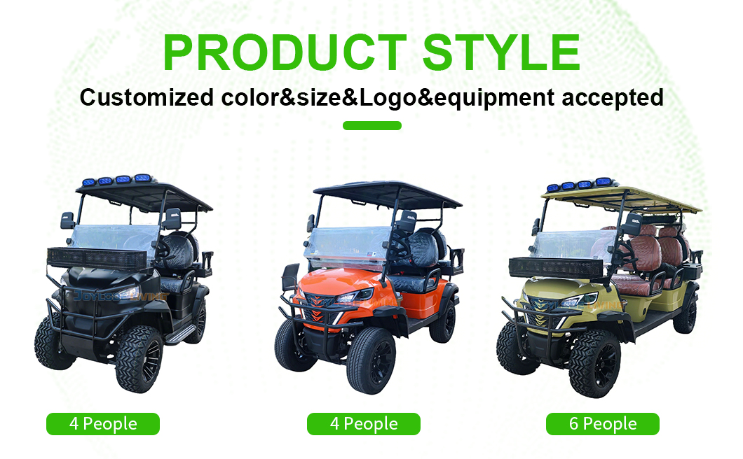Electric vehicle details