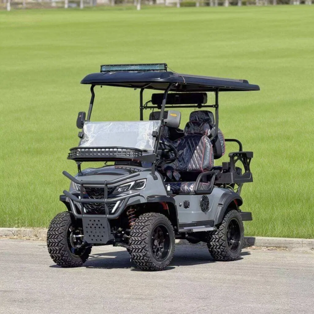 Enclosed Golf Cart Weatherproof Cabin Golf Buggy with Heater &amp; Windshield for Cold Climates