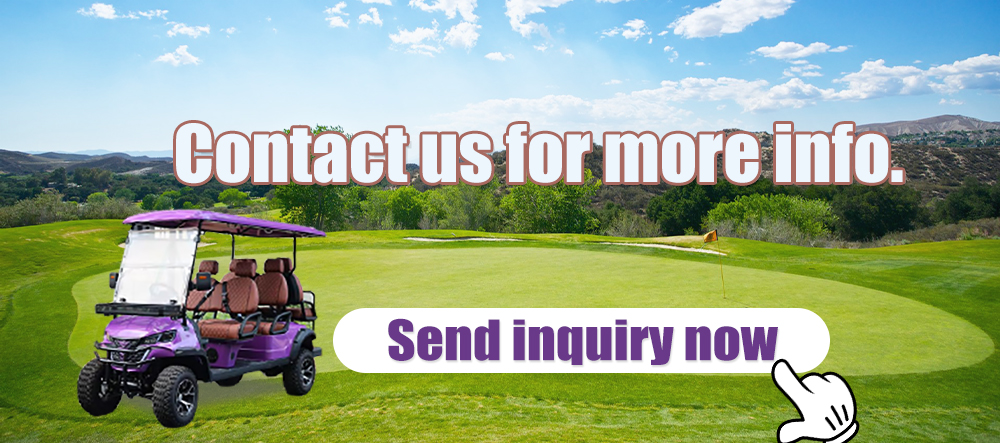 EPA CARB Certified Commercial Powertrain Golf Cart Gasoline Engine 2+2 Seats Golf Cart Gasolina Fo Resort Fleet MobilitySystems