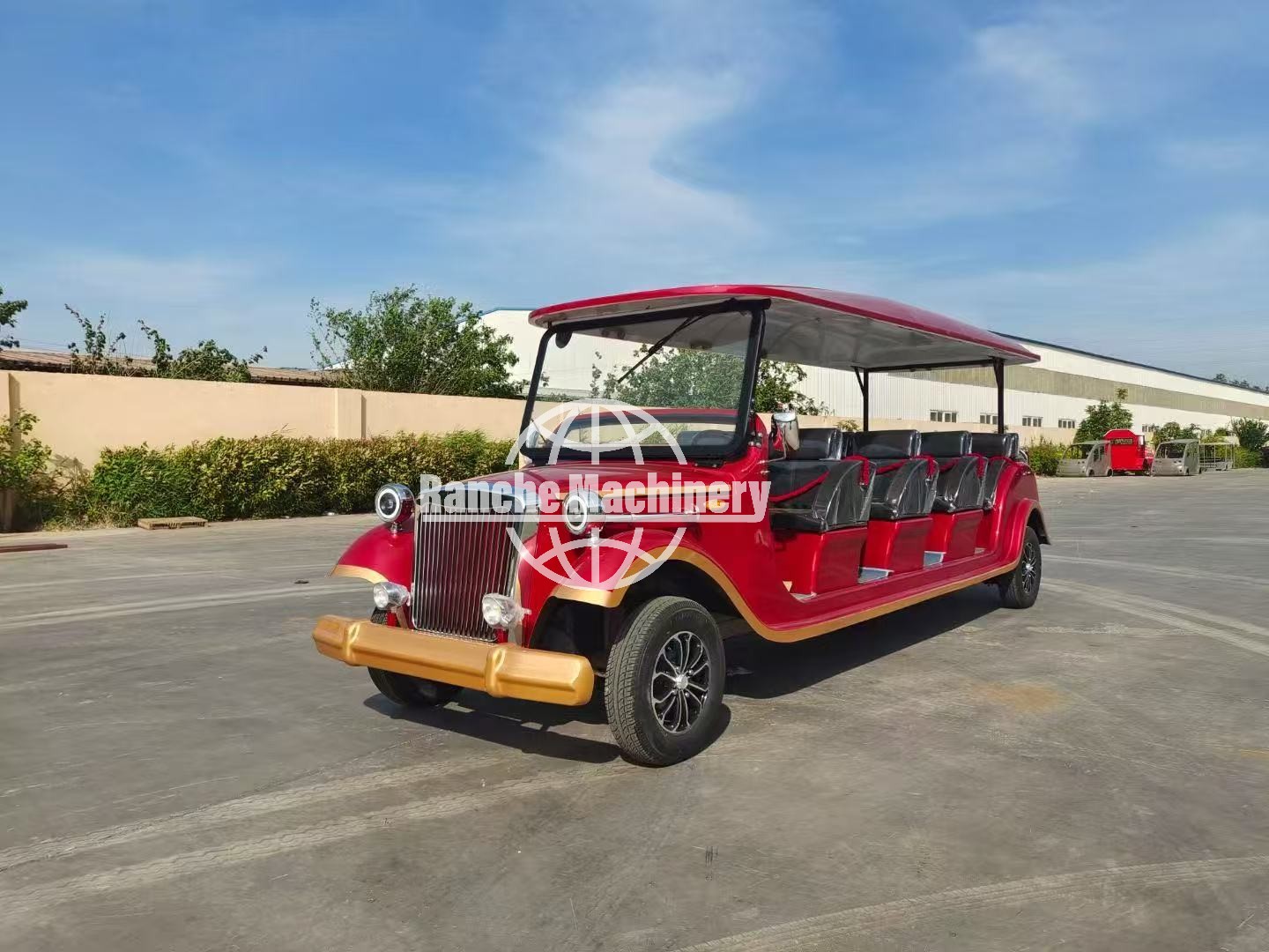 Sightseeing Car Detail 2