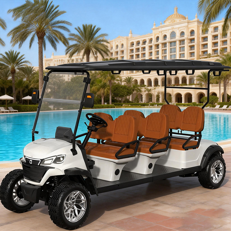 WOLAN Utility Vehicle Electric Golf Cart 6 Passenger for Sightseeing Motor Acid Battery Lead