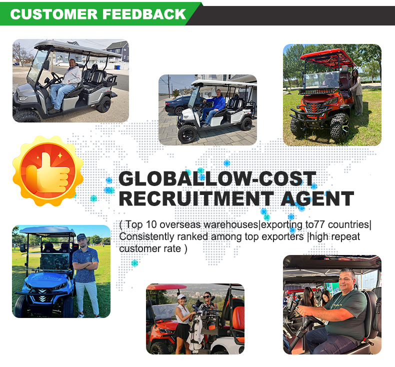 MINGKO EV Golf Cart Details
