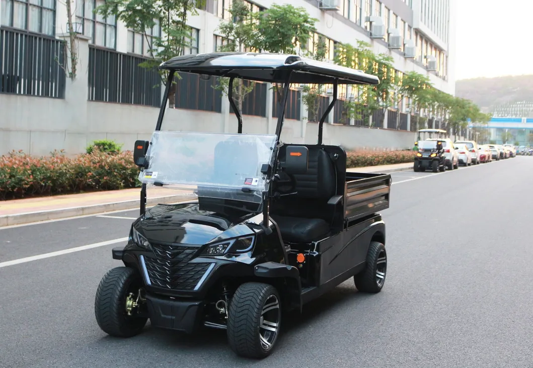 Electric Golf Utility Cart Front View