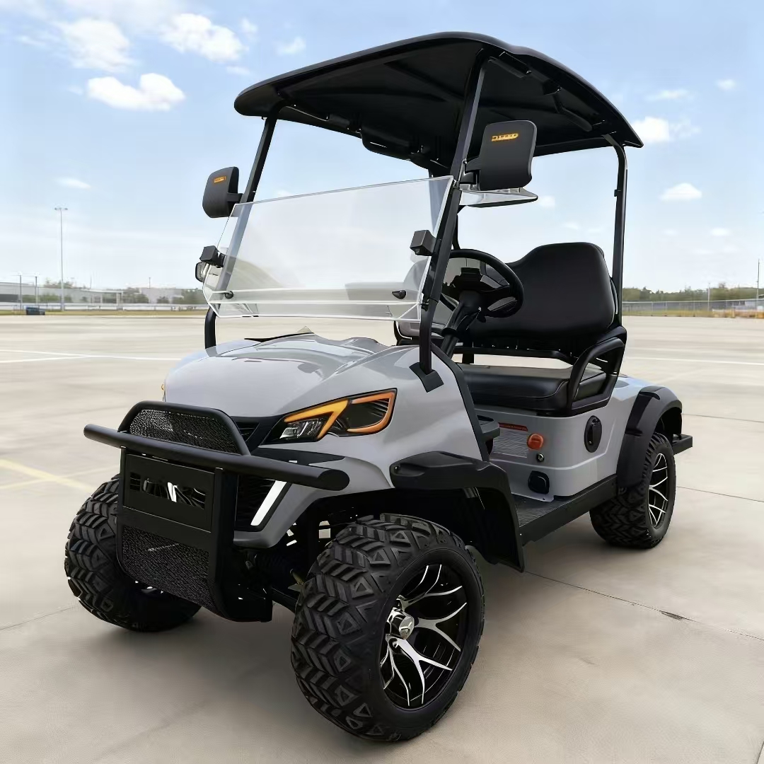 2 Seater Mini Electric Mobility Scooter Golf Cart for Sale