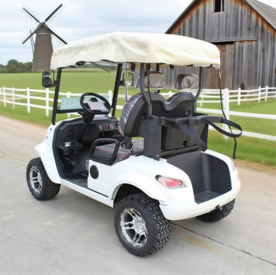 Hot Sale High Performance 2 Seater Electric Golf Cart 48V Battery Top Product Manufactured China 5kw Motor Steel Club Car