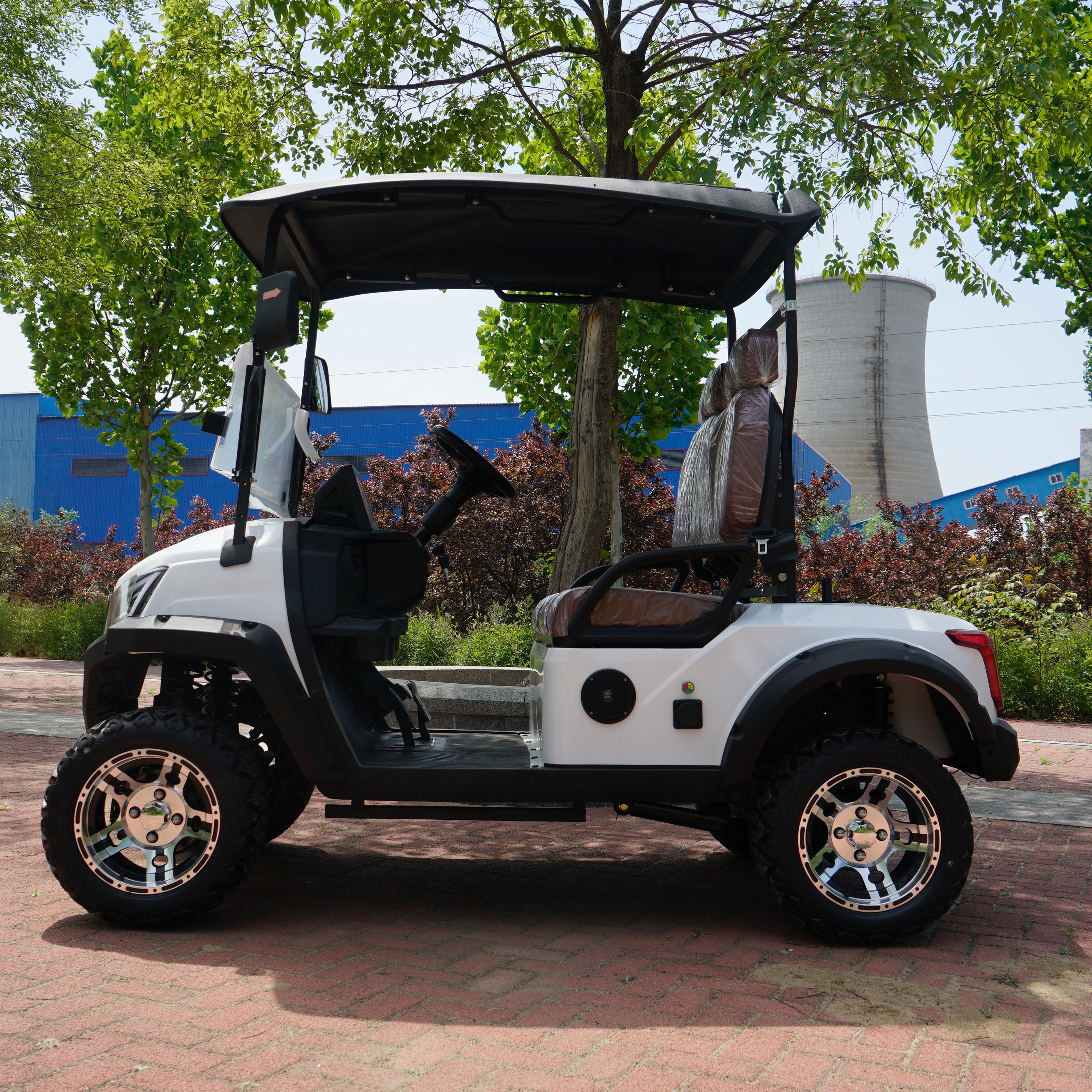 Best Quality 2 Seater Golf Carts Electric Strong Power Mini Golf Buggy for Country Club Life-long Service 4 Wheel Golf Car Price