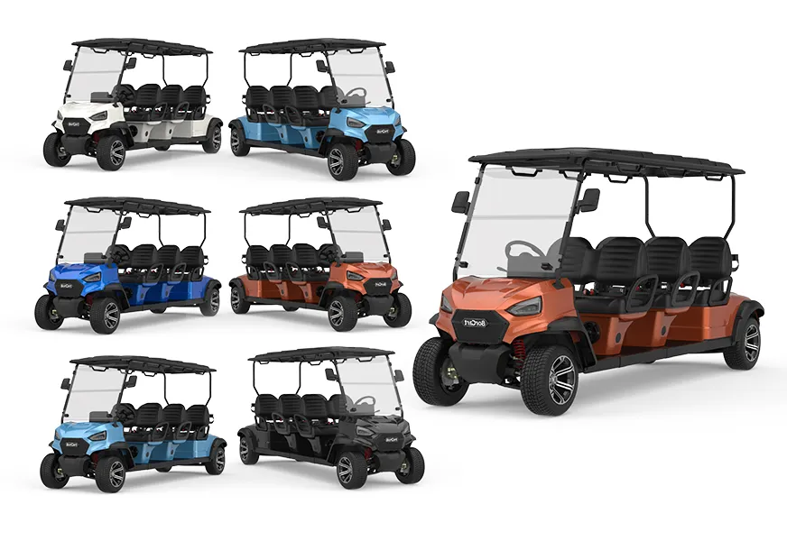 Custom High Performance High Speed Electric Golf Carts 6 Seat Carro De Golfe Hunting Buggy Cart for Sale