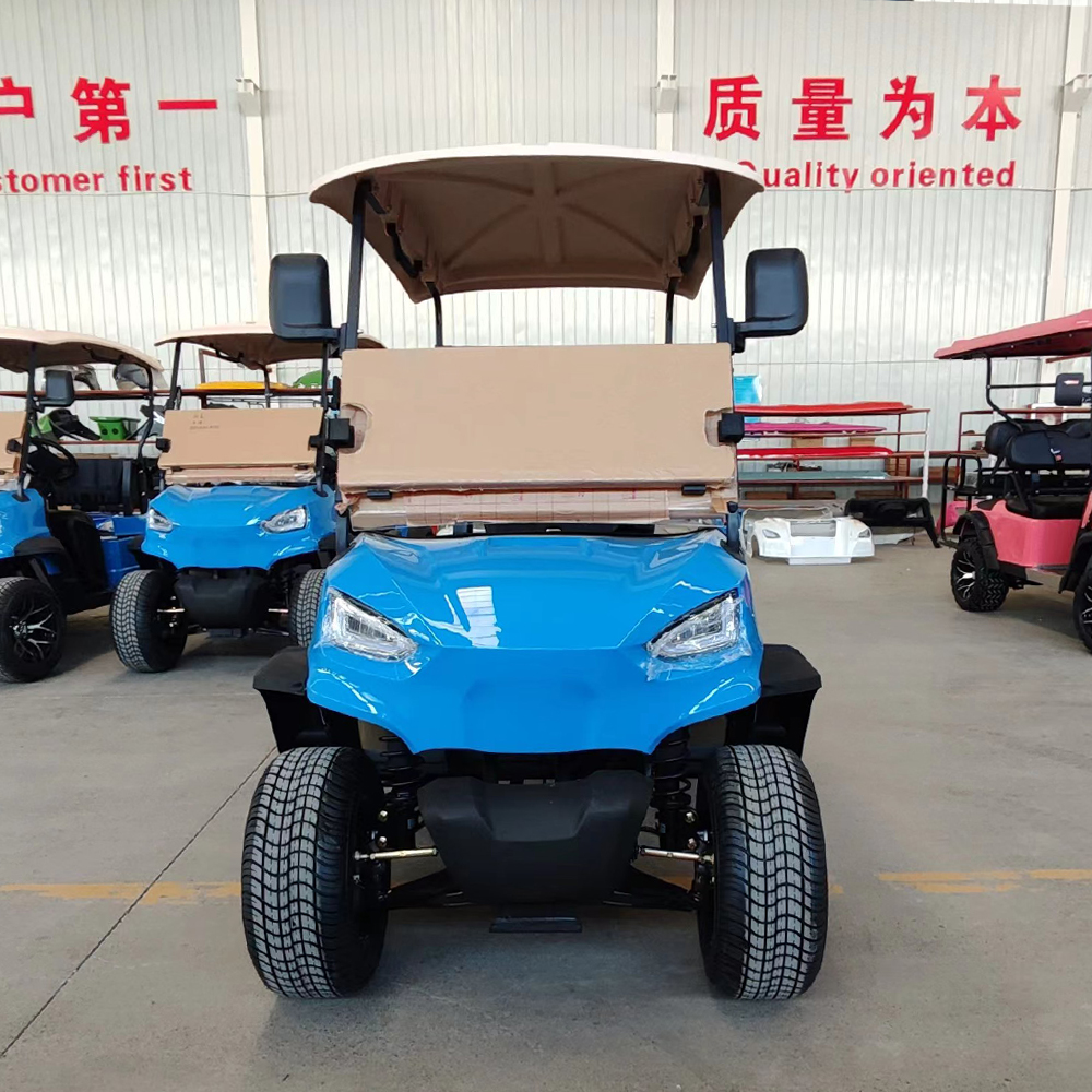 Mini Golf Carts for Adults 2 Seats 2 Passenger Street Legal Utility Vehicle Electric for Personal Use Golf Course Hunting Club