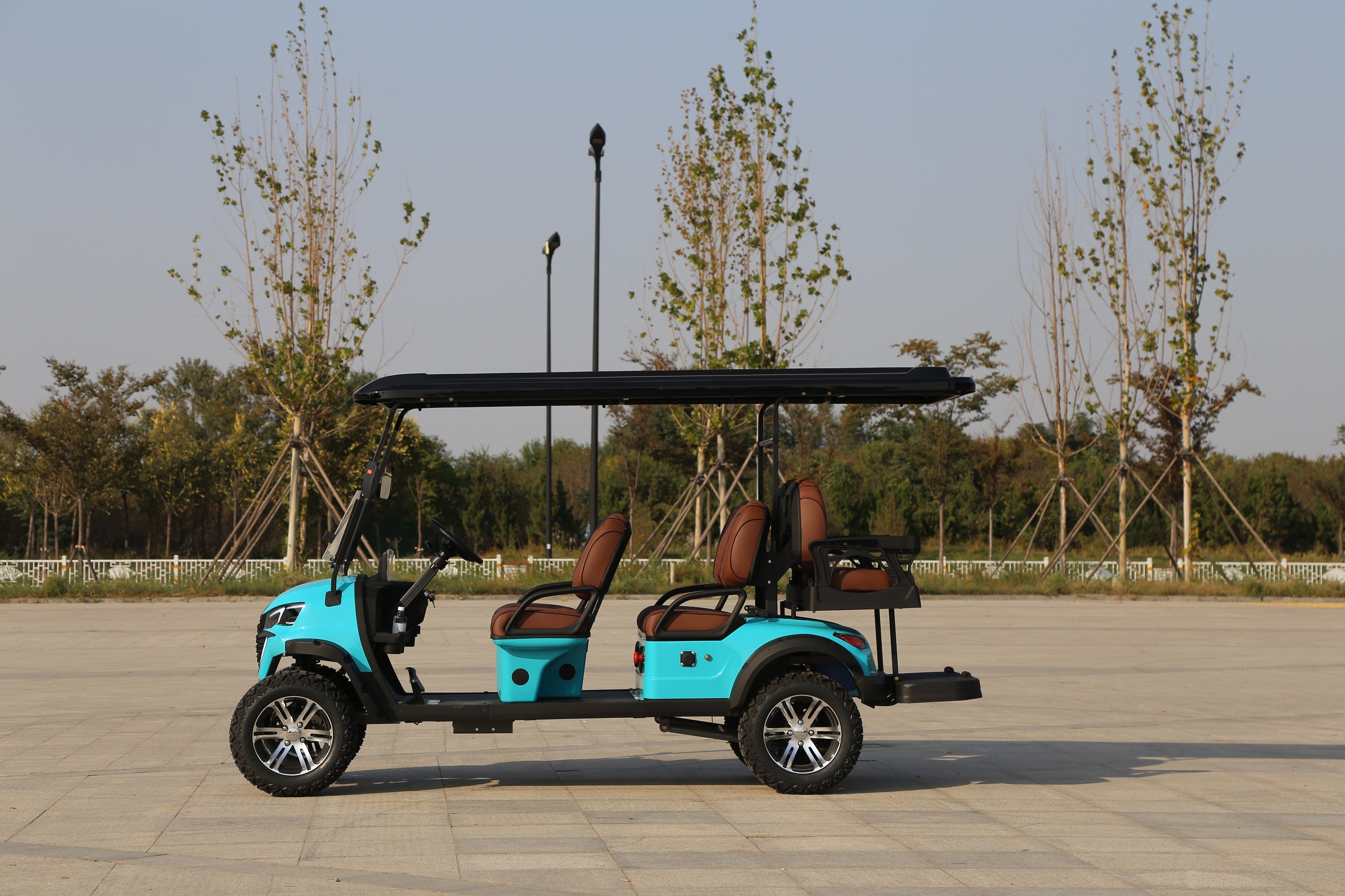 Golf Car Detail 5