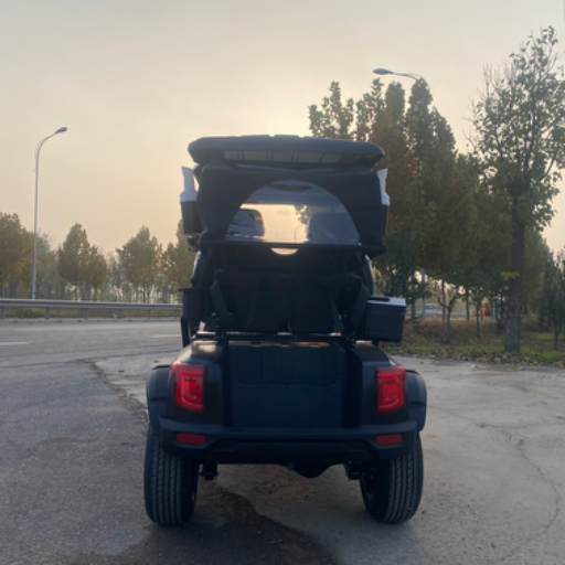 Wholesale Price 2 Seater Golf Cart Lithium Battery CE Certified Golf Buggy Lifelong After-Sale Service Electric Vehicle with GPS