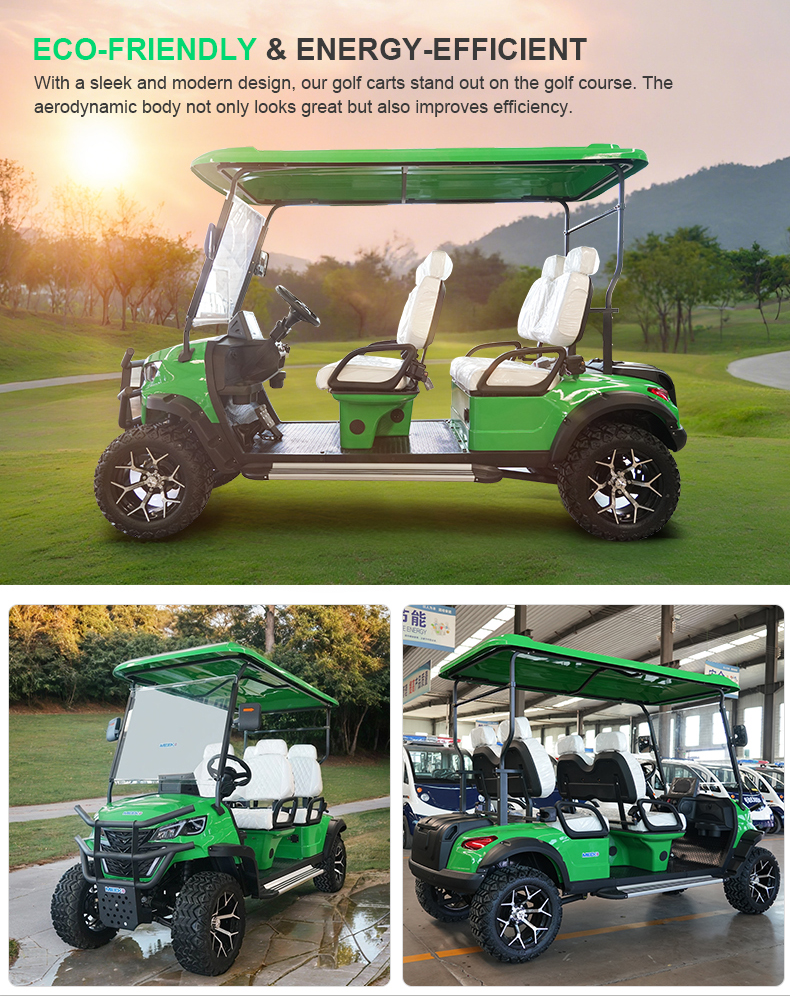 Golf Cart Detail 9