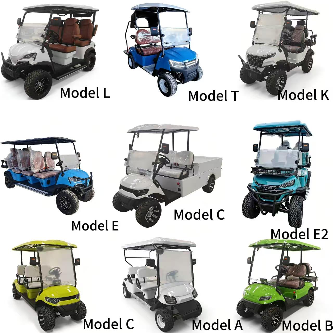 Electric Golf Cart Off Road Street Legal