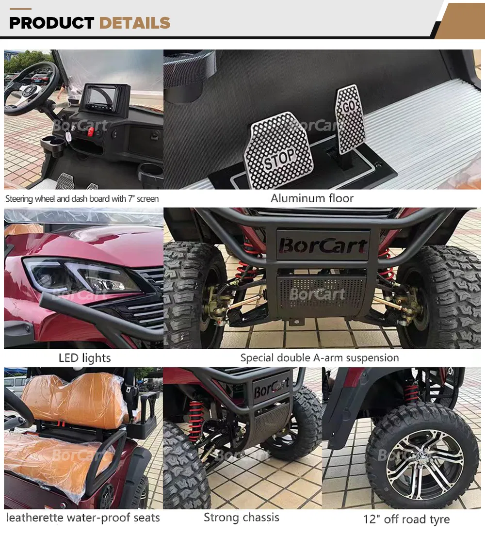CE Custom Utility Vehicle 8 Seat Golf Cart Details