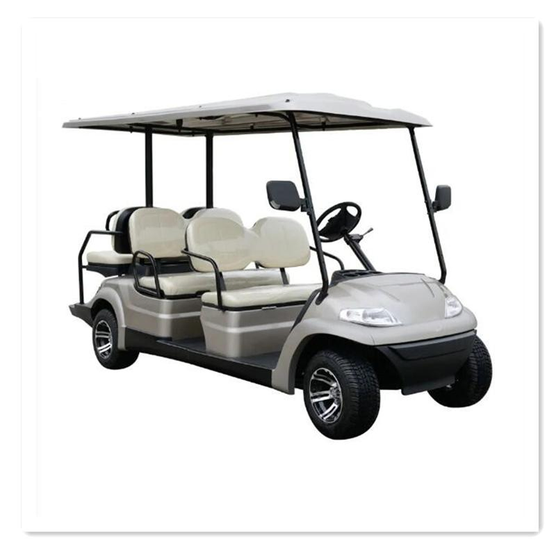 Lithium Golf Cart Electric 6 Seats Buggies with 12 Inch Tire