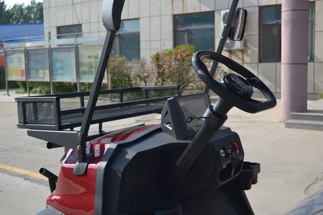Golf Cart Detail 2