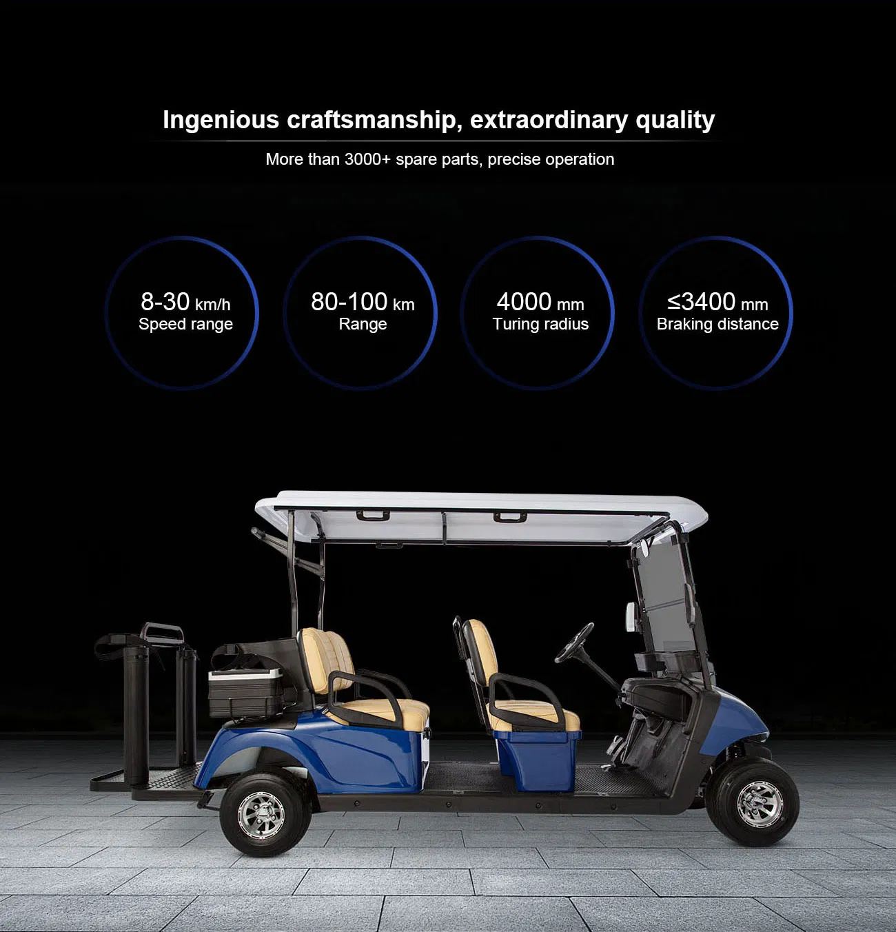 Electric Golf Cart Feature 2