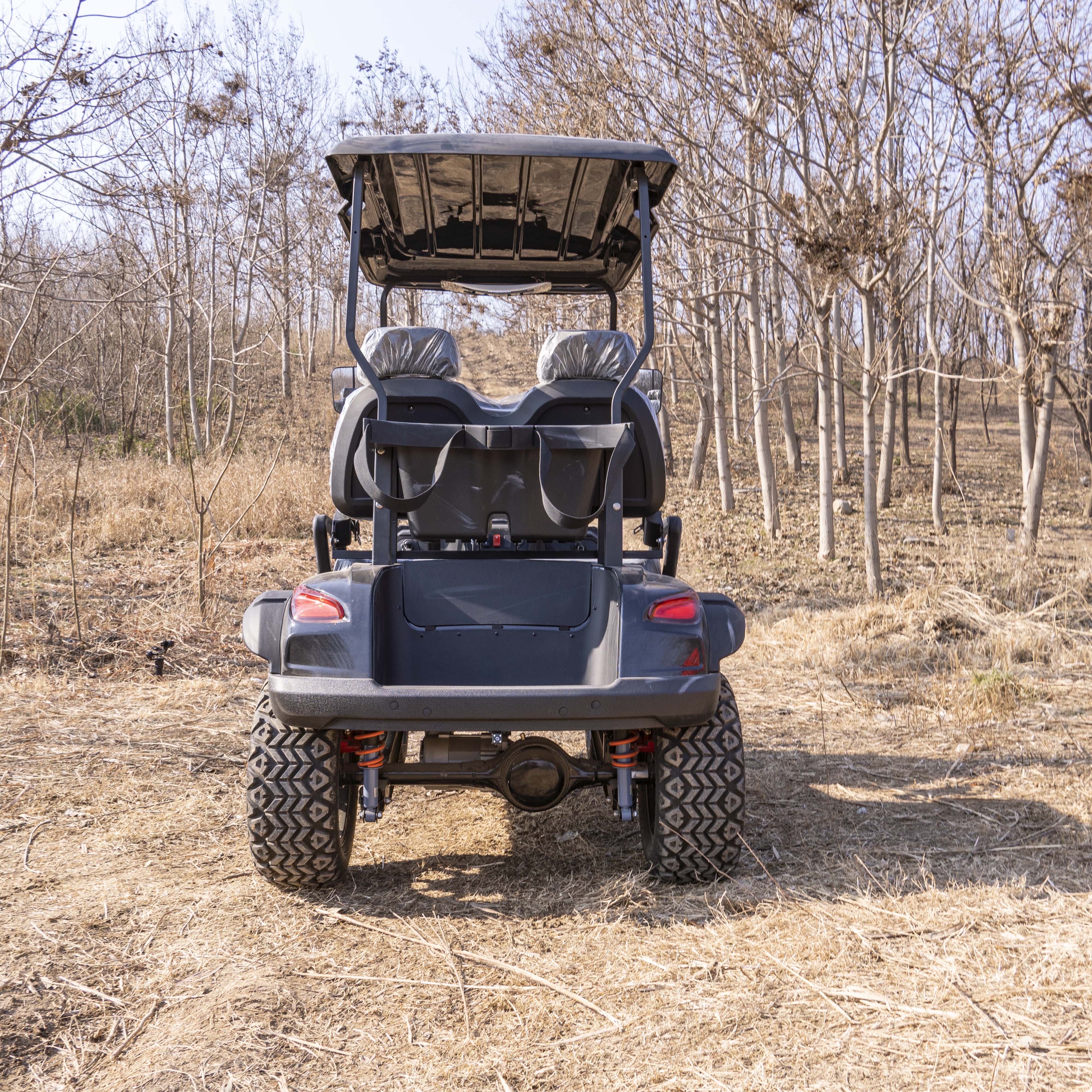 Mini 2 Seater Electric Golf Cart Off-Road Electric Golf Cart t Colors Can Be Customized High Quality