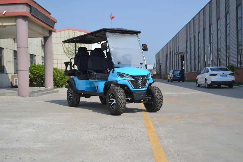 Electric Golf Cart Details 1