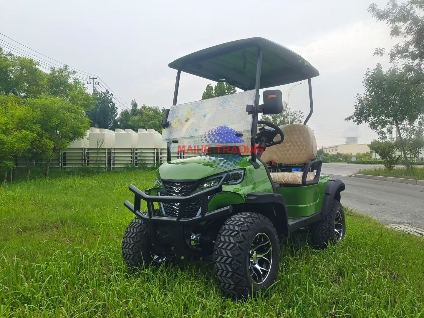 Golf cart details 3