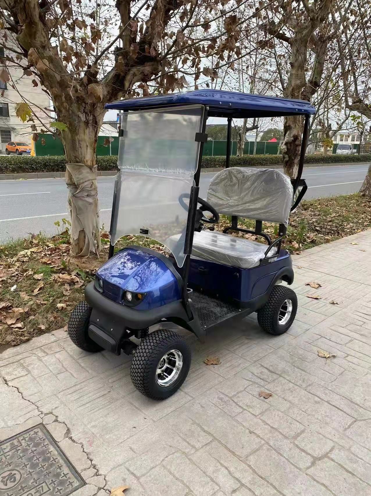 Stock off Road Price Electric Vintage Golf Car Mini GOLF CARTS 2 Seater Two Seat for Sale