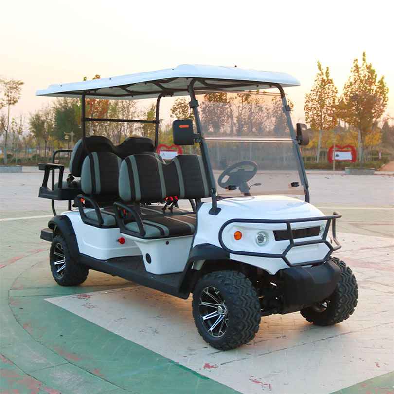 Street Legal 2/4 Seater Electric Golf Car for Personal Commute and Neighborhood Driving Golf Carts
