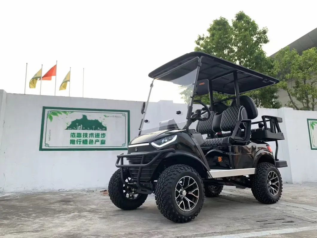 Easy-to-Drive 2-Seater Golf Cart - Comfort and Convenience in One