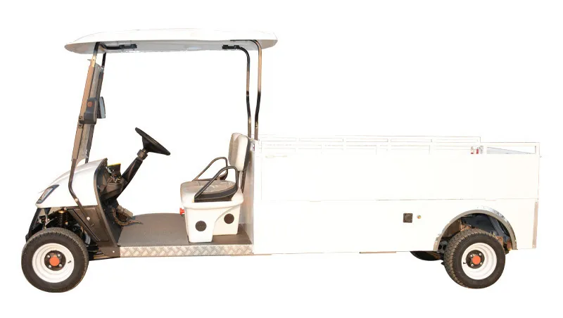 Electric Utility Cargo Golf Cart Visual Show 2
