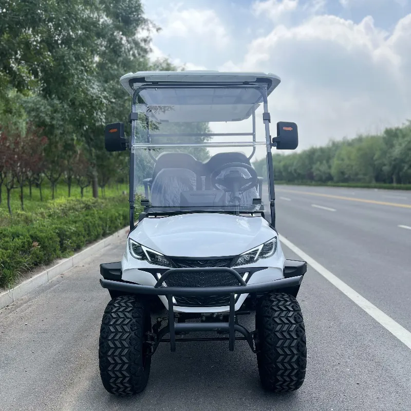 Electric Golf Cart Detail View