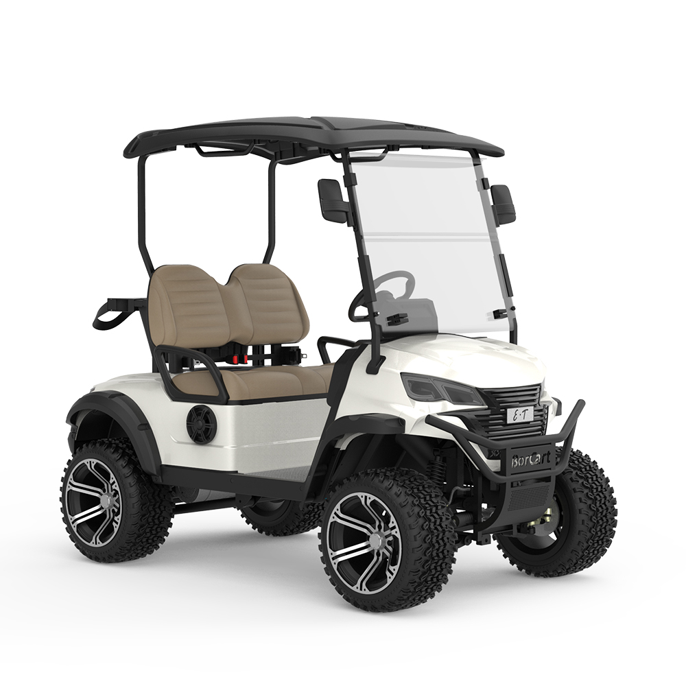 New Design Comfortable 2 Seater Electric Utility Golf Cart Sightseeing Vehicle Mini Cart Golf Car