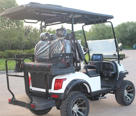 Lvzo Brand Golf Cart-Premium Comfort Meets Unmatched Performance