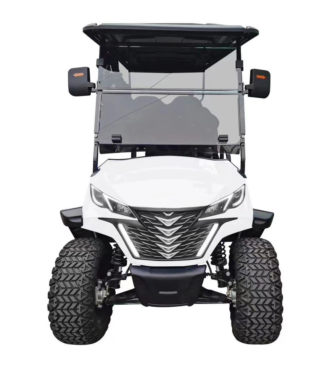 Wholesale Price Durable 2/4 Seater Electric Golf Buggy Gas or Electric Powered Utility Vehicle for Golf Course Fleet Rental