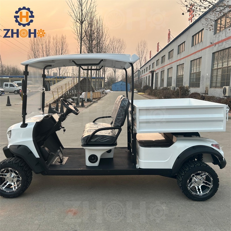 Effortless Course Management Golf Cart Dune Buggy with GPS Fleet Tracking 3-4 Seats 90km Range