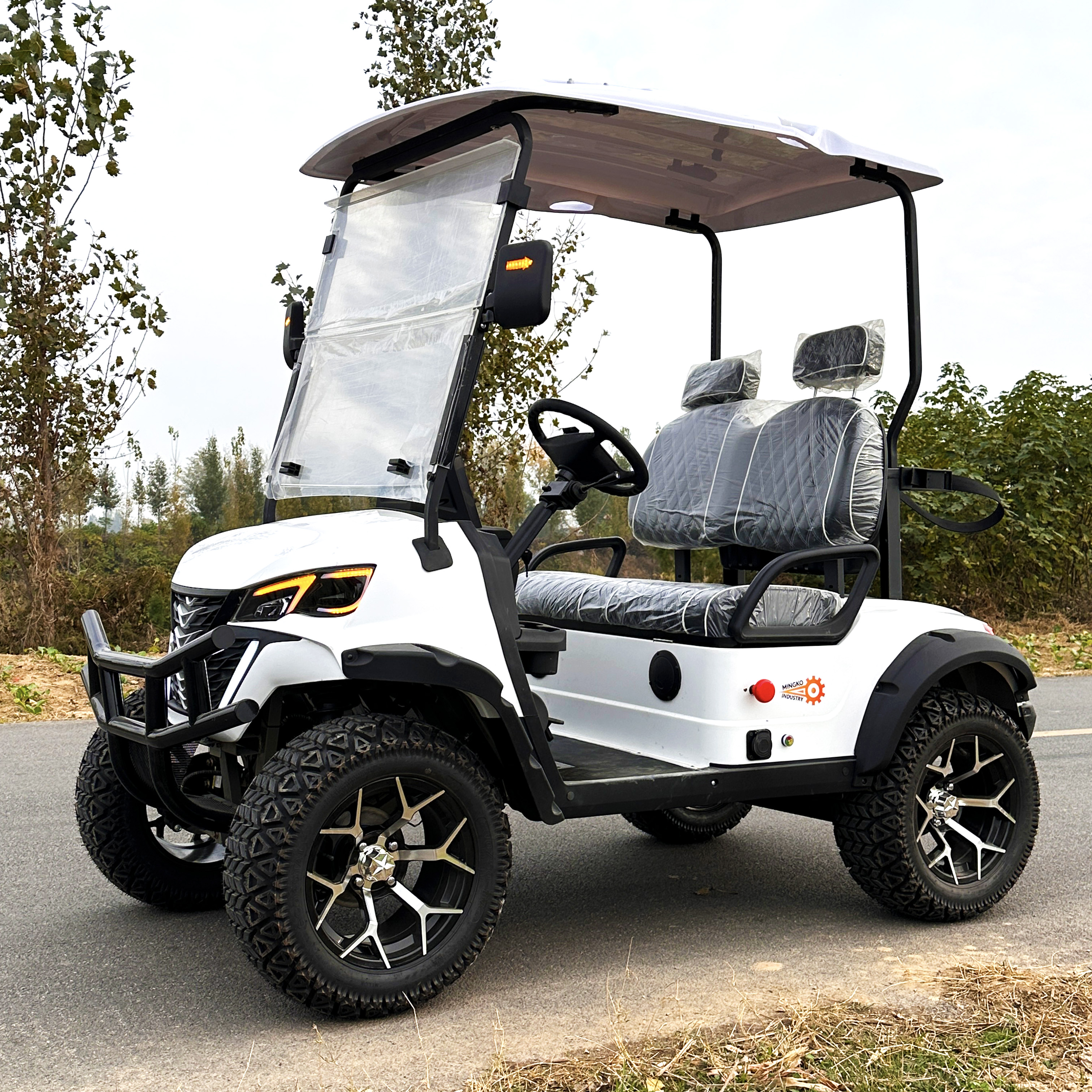 Two-seater Compact Electric Golf Cart CE/GCC Certified 50-70km/h Speed 90km Range 100kg Lightweight Factory Direct Sales