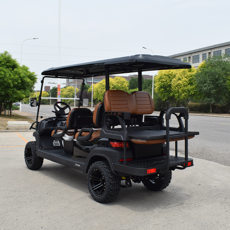Electric Golf Cart Rear View