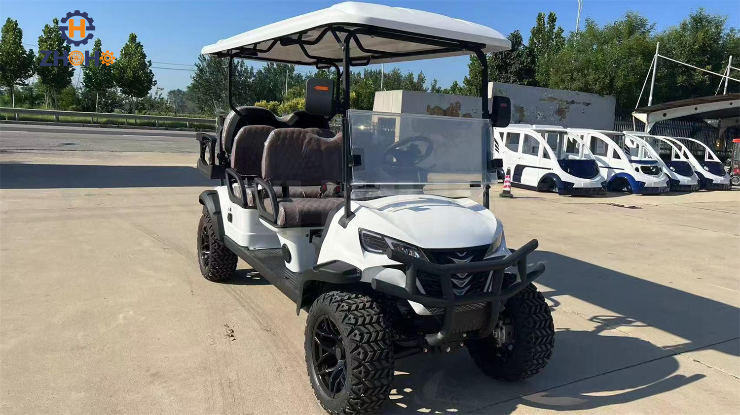 Golf Cart Detail 5