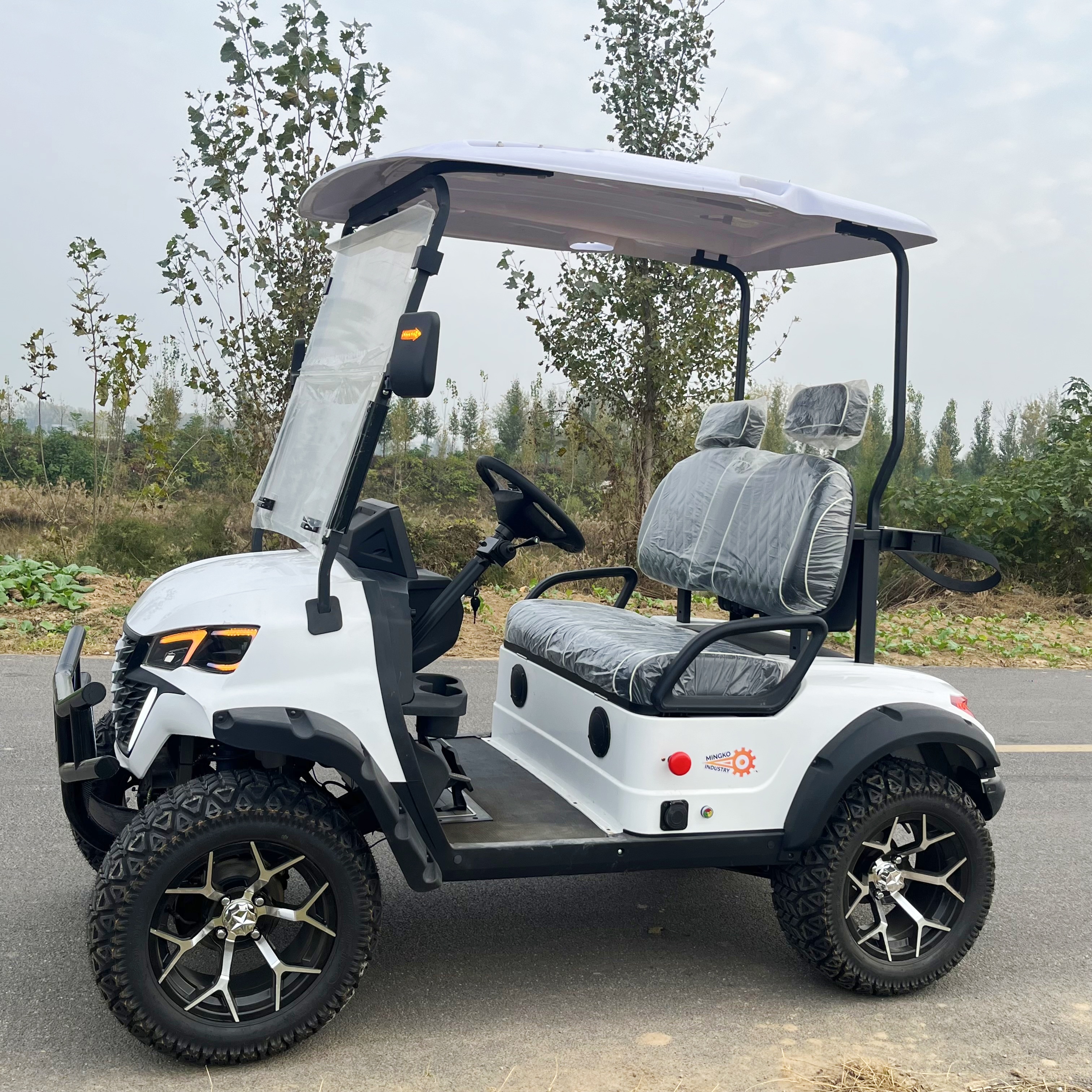 Chinese Small Mini Golf Cart Club 2 Passenger Electric Cheapest Buggy Car Vehicle Cart