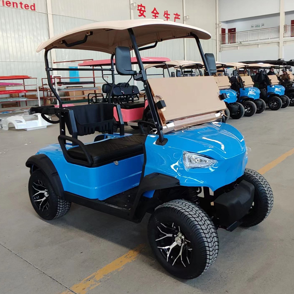 Mini Golf Carts for Adults 2 Seats 2 Passenger Street Legal Utility Vehicle Electric for Personal Use Golf Course Hunting Club