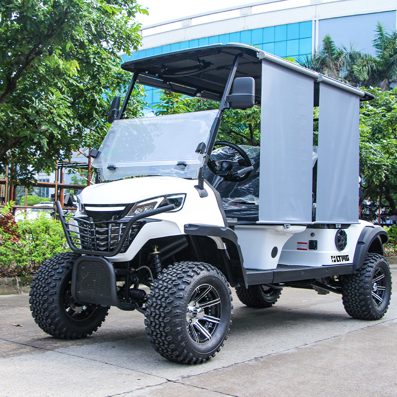 48V Battery Solar 4 Seaters Off Road Electric Street Legal Golf Cart Buggy in Hot Sale