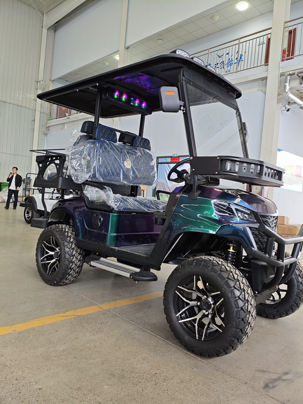 Electric Golf Cart Detail 3