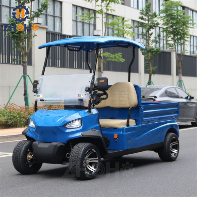 Golf Cart Custom Feature 7