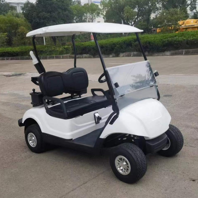 Golf Cart Feature View 1