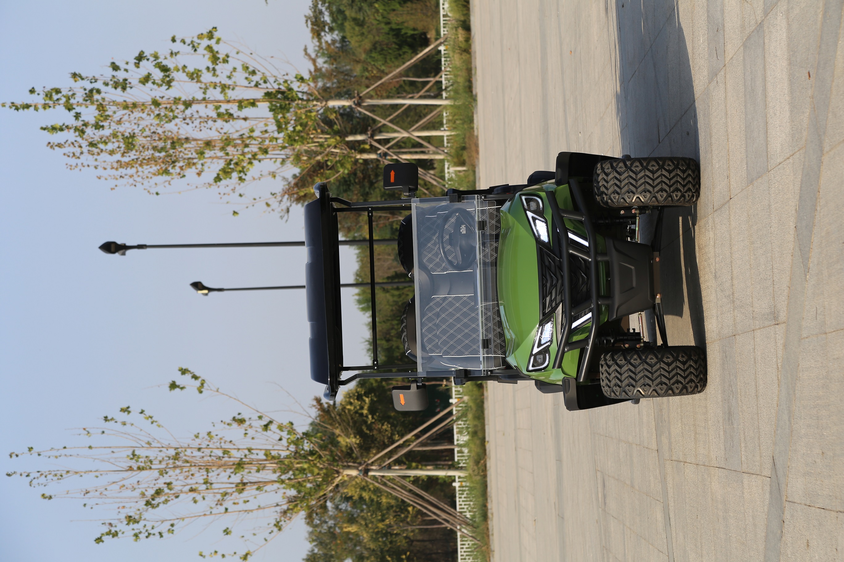 Golf Car Detail 6
